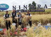 Syngenta Luncurkan Benih Padi Hibrida Ningrat (NK2133) Dukung Swasembada Beras.