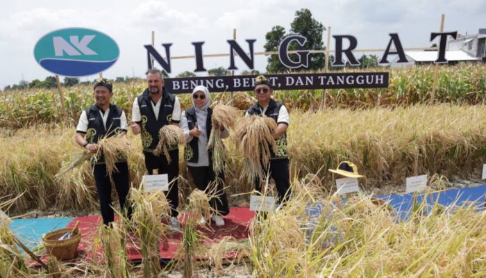 Syngenta Luncurkan Benih Padi Hibrida Ningrat (NK2133) Dukung Swasembada Beras.