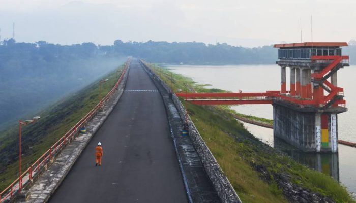 PLN Nusantara Power Raih Gold Stevie Award Lewat Inovasi Hydrobot