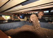 PLN Nusantara Power Dorong Ekonomi Sirkular Lewat Budidaya Cacing Tanah di Tenayan