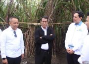 Danantara Investasikan Rp1,5 Triliun Untuk Pembelian Gula Pasir Petani yang Belum Laku di Gudang Pabrik Gula
