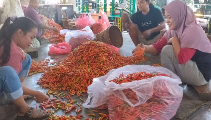 Harga Cabai Rawit di Kediri Kembali Melonjak, Pasokan Mulai Menipis