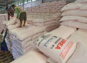 Perketat Pengawasan, Pemkab Tuban Wajibkan Kios Pamer Daftar Penerima Pupuk Subsidi