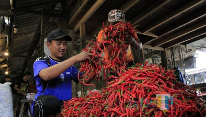 Harga Cabai Keriting di Kediri Meroket Rp9.000