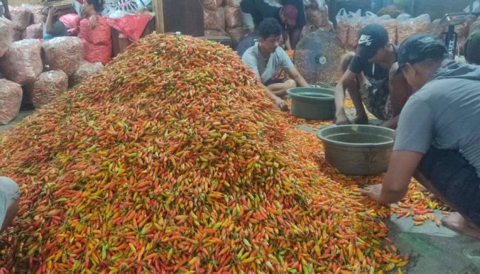 Harga Cabai di Kediri Mulai Turun, Pasokan dari Petani Melimpah
