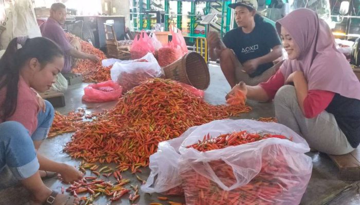 Harga Cabai Rawit Naik Rp2.000 per Kilogram di Pasar Induk Pare