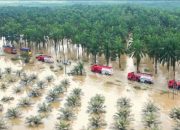 BNPB: Kerusakan Banjir dan Longsor di Sumatra Tembus Rp51,82 Triliun