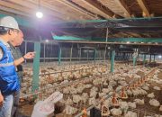 PLN Dukung Kebijakan Pemerintah, Tarif Listrik Triwulan I 2026 Tetap