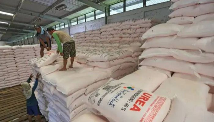 Subsidi Pupuk 2026 Tetap 9,55 Juta Ton, Pemerintah Perkuat Sektor Pertanian