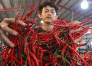 Permintaan Tinggi dan Pasokan Seret, Harga Cabai Kediri Naik Drastis