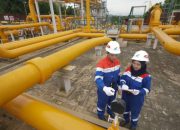 Kinerja Pertagas Tumbuh di 2025, Infrastruktur Energi Jadi Fokus Utama