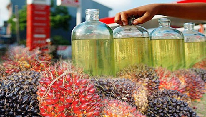 Gandeng ITS, PalmCo Kembangkan Bensin Sawit