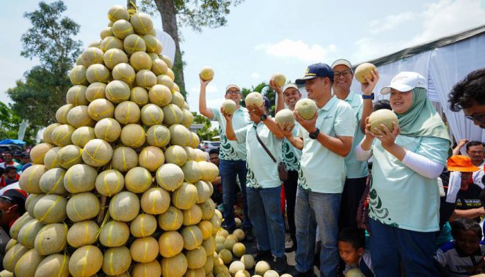 Program Pestani Melon Pantura Petrokimia Gresik Dongkrak Produktivitas Petani hingga 10 Persen