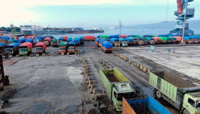 PTP Nonpetikemas Catat Throughput 12,04 Juta Ton, Segmen Curah Kering Tetap Mendominasi