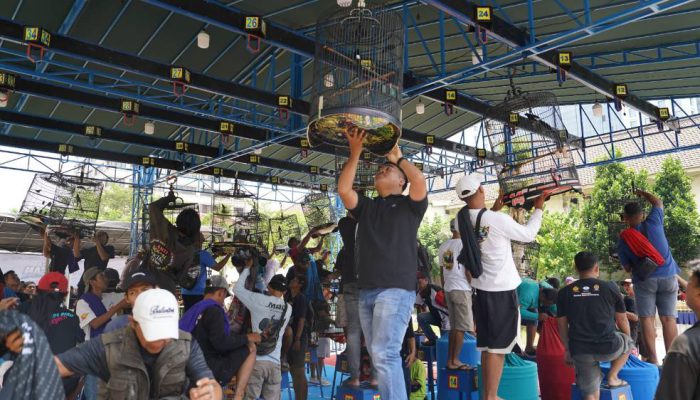 Perputaran Ekonomi Ekosistem Burung Kicau Tembus Rp 2 Triliun