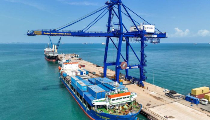 Neraca Perdagangan Surplus 71 Bulan Berturut-turut, Sektor Ini Penopangnya