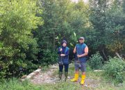 TPS Salurkan 3.000 Bibit Mangrove untuk Rehabilitasi Pesisir Sontoh Laut Surabaya