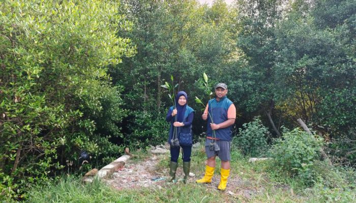 TPS Salurkan 3.000 Bibit Mangrove untuk Rehabilitasi Pesisir Sontoh Laut Surabaya