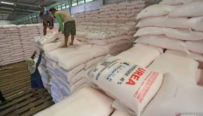 Mentan Amran: Ekspor Pupuk Urea ke Australia Akan Terus Ditingkatkan