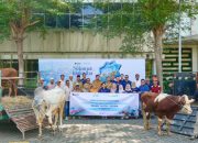 PT Terminal Teluk Lamong Perkuat Kepedulian Sosial Lewat Program Berbagi Kurban