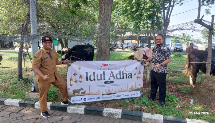 Sambut Iduladha, BKMS Bersama Tenant JIIPE Bagikan Puluhan Hewan Kurban