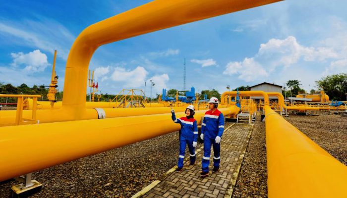 PGN Perkuat Ketahanan Bisnis untuk Menopang Pertumbuhan Jangka Panjang