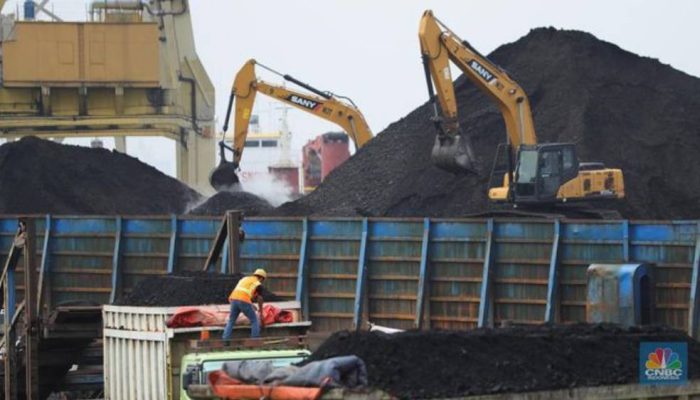 Pengguna Jasa Soroti Kewajiban SPK TKBM di KSOP Satui, Dinilai Ganggu Iklim Usaha