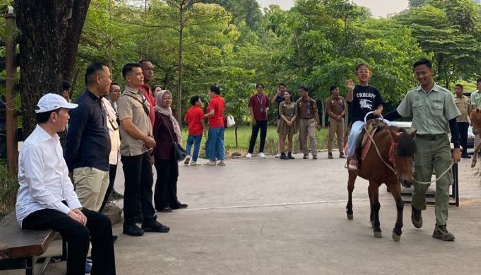 Isi Libur Sekolah, Jokowi Momong Cucu di Solo Safari