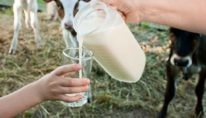 Konsumsi Susu Indonesia Kalah dari Malaysia, Singapura, dan Vietnam