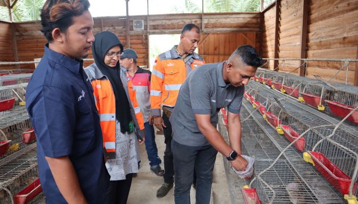Olah Sampah Kelapa Jadi Pakan Ternak, SIG Tingkatkan Kualitas Lingkungan dan Kesejahteraan Masyarakat di Aceh