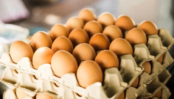 Jadi Makanan Favorit di Indonesia, Berikut Tiga Provinsi Penghasil Telur Terbesar