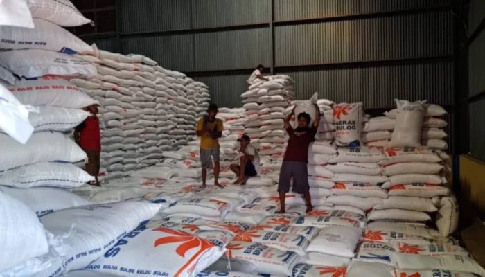 Stok Tembus 129 Ribu Ton, Banyuwangi Surplus Beras dan Pasok Kebutuhan Papua hingga Bali