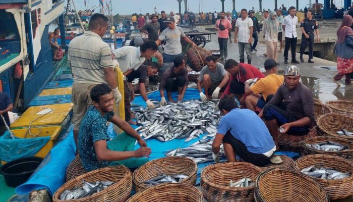 Harga Kian Mahal, Pemerintah Kaji Subsidi BBM Khusus untuk Nelayan dan Industri Tangkap Ikan