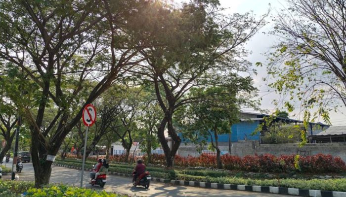 Cuaca Surabaya dan Sekitarnya Hari Ini Diprediksi Cerah, Suhu Siang Capai 34°C