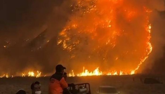 Kebakaran Meluas, Seluruh Akses Wisata Gunung Bromo Ditutup Total