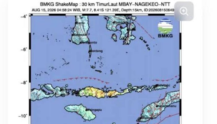 Gempa Magnitudo 7,7 Guncang Nagekeo NTT, Dua Orang Meninggal di Sikka