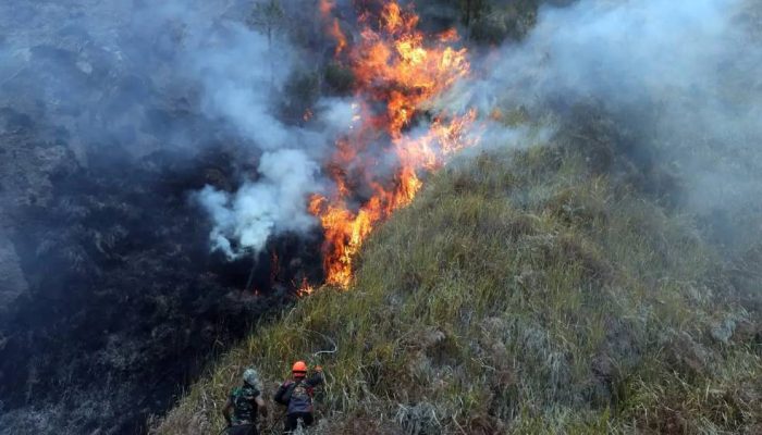 Kemenhub Terbitkan 35 Izin Khusus Pesawat Asing Padamkan Karhutla
