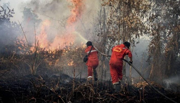 Pemerintah Sebut 15.000 Hektare Karhutla di Riau Berhasil Ditangani