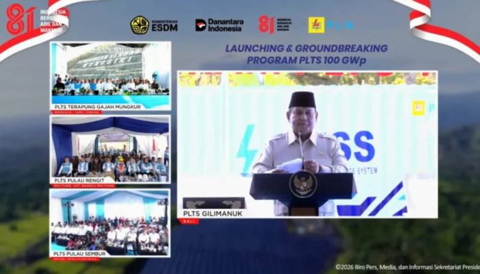 Kejar Target PLTS 100 GWp, Pemerintah Siapkan Proyek Surya hingga 4.548 MWp untuk Tender