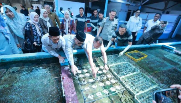 Mendag Lepas Ekspor Koral Banyuwangi ke AS, Nilainya Capai 2.500 Dolar AS