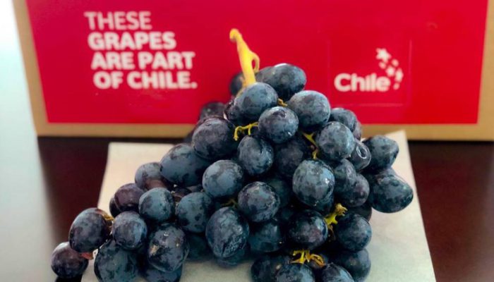 Indonesia Impor 1.887 Ton Anggur dari Chili