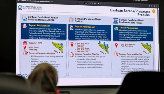 Pemerintah Siapkan Rp 350,21 Miliar Percepat Pemulihan UMKM Terdampak Bencana Aceh