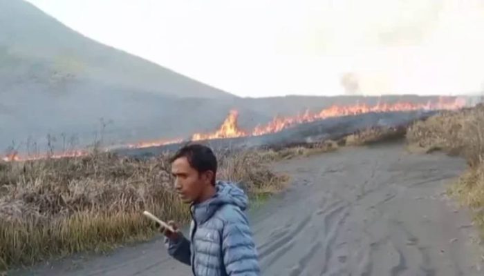 Bukit Teletubbies Terbakar Lagi, Api Terlihat Sejak Sore