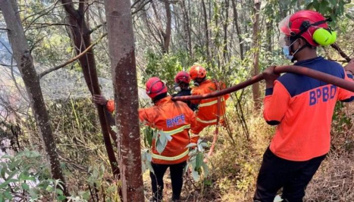 Penanganan Karhutla Gunung Bromo Optimalkan Jalur Darat