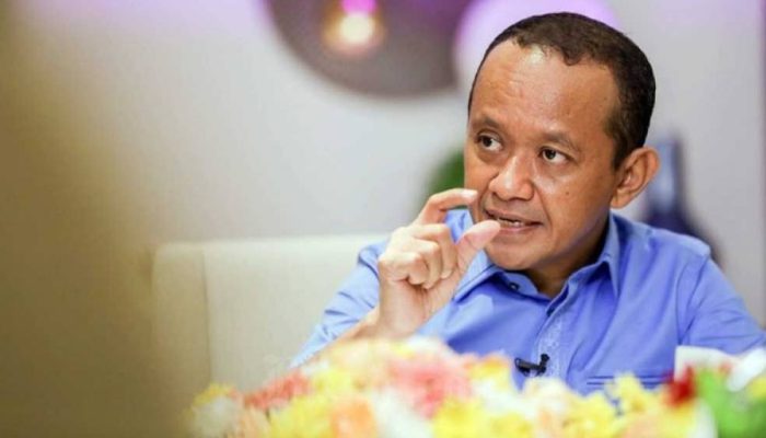 10 Ribu Desa Masih Belum Teraliri Listrik, Pemerintah Kejar Pemerataan Energi