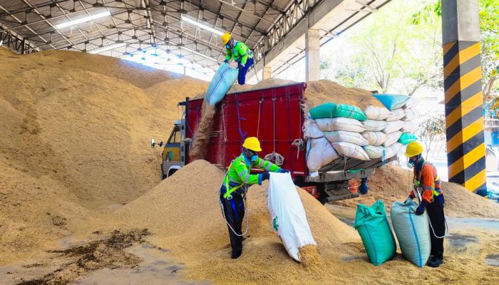 Penggunaan Sekam Padi di SIG Pabrik Tuban Capai 400 Ton Per Hari