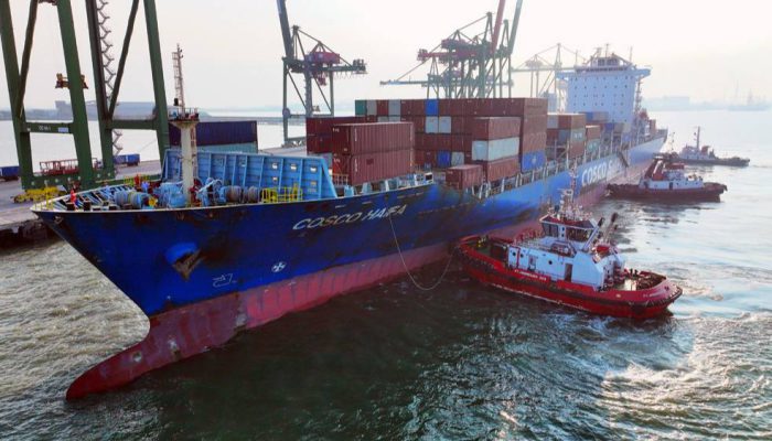 Lima Tahun Bersama Pelindo, Terminal Teluk Lamong Perkuat Layanan dan Daya Saing Logistik